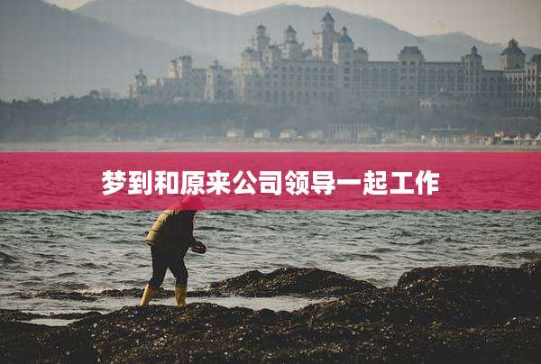 梦到和原来公司领导一起工作