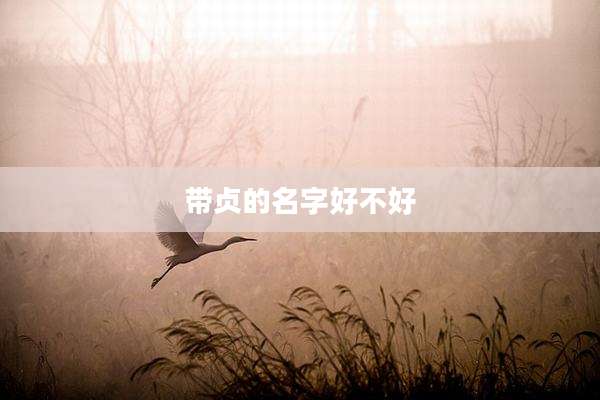 带贞的名字好不好