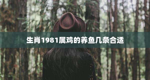 生肖1981属鸡的养鱼几条合适