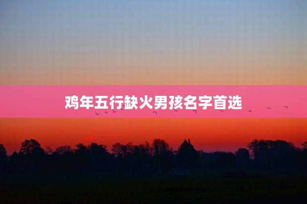 鸡年五行缺火男孩名字首选