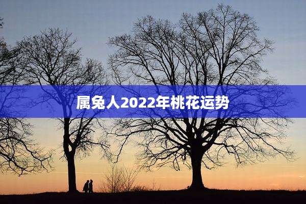属兔人2022年桃花运势