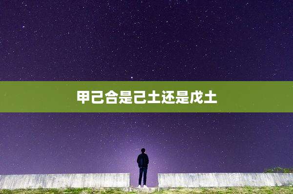 甲己合是己土还是戊土
