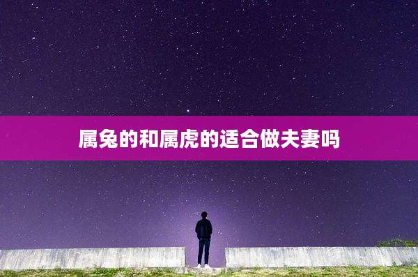 属兔的和属虎的适合做夫妻吗
