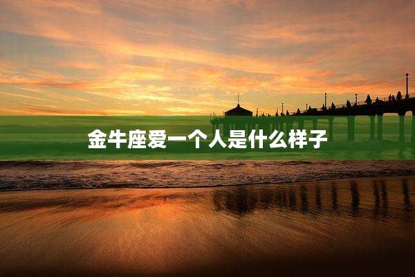 金牛座爱一个人是什么样子
