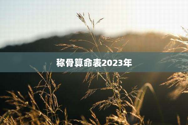 称骨算命表2023年