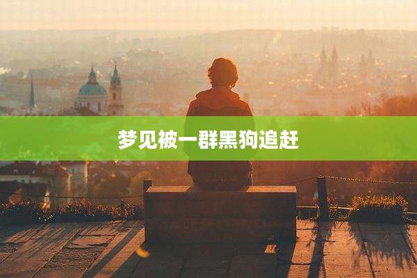 梦见被一群黑狗追赶