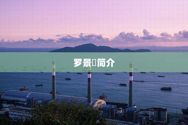 罗景炘简介