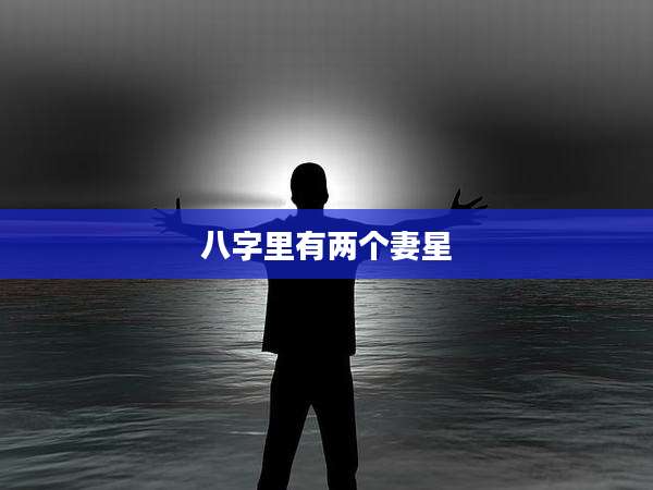 八字里有两个妻星