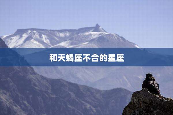 和天蝎座不合的星座