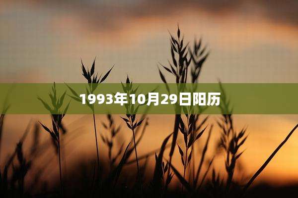 1993年10月29日阳历