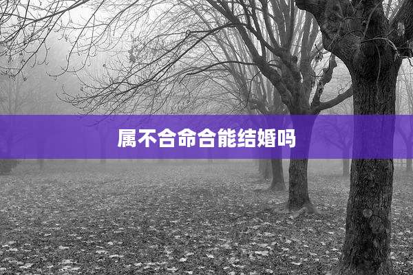 属不合命合能结婚吗