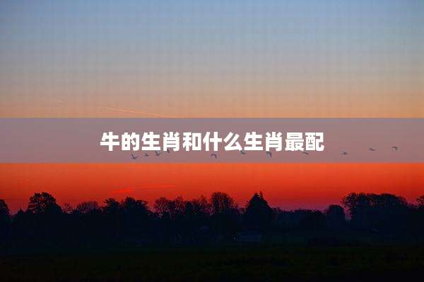 牛的生肖和什么生肖最配