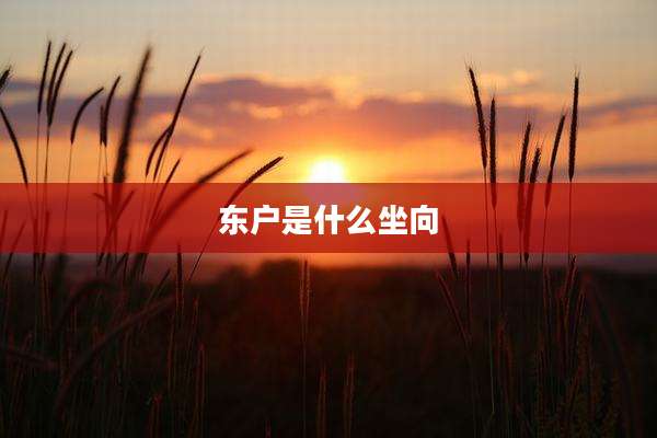东户是什么坐向
