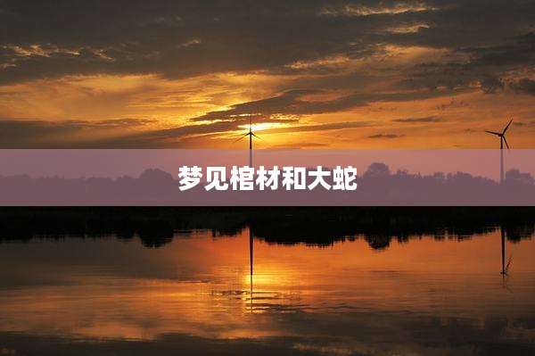 梦见棺材和大蛇