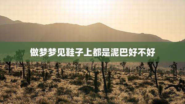 做梦梦见鞋子上都是泥巴好不好