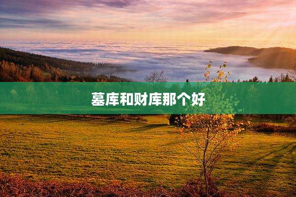 墓库和财库那个好