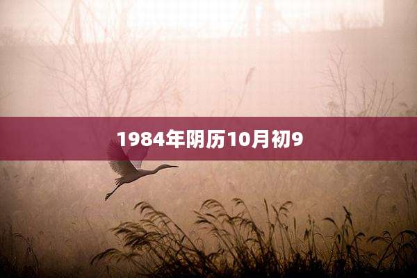 1984年阴历10月初9