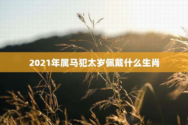 2021年属马犯太岁佩戴什么生肖