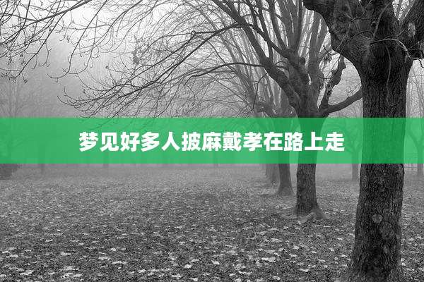 梦见好多人披麻戴孝在路上走