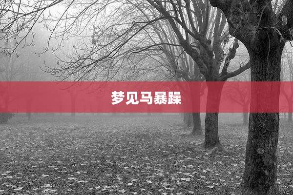 梦见马暴躁