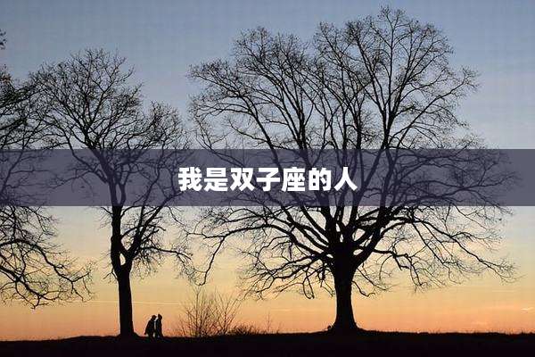 我是双子座的人