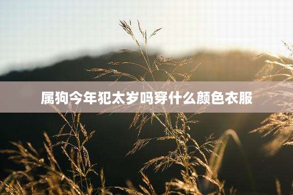 属狗今年犯太岁吗穿什么颜色衣服