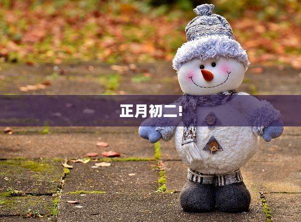 正月初二!