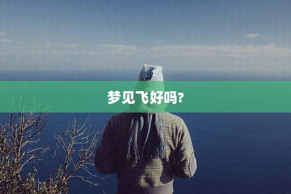 梦见飞好吗?