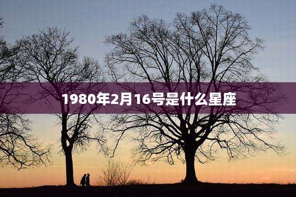 1980年2月16号是什么星座