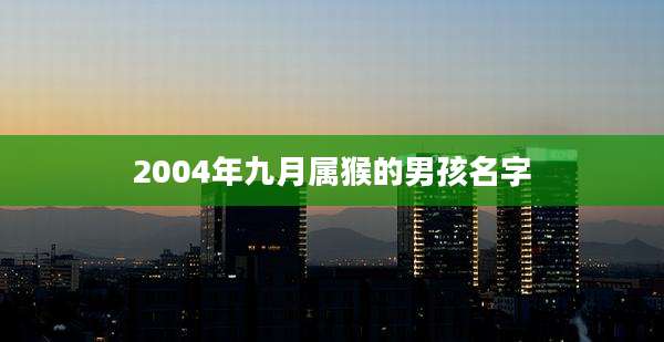 2004年九月属猴的男孩名字