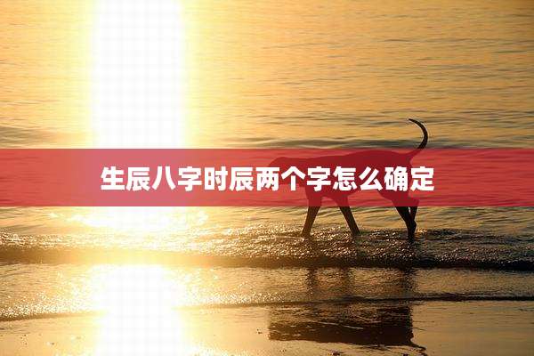 生辰八字时辰两个字怎么确定
