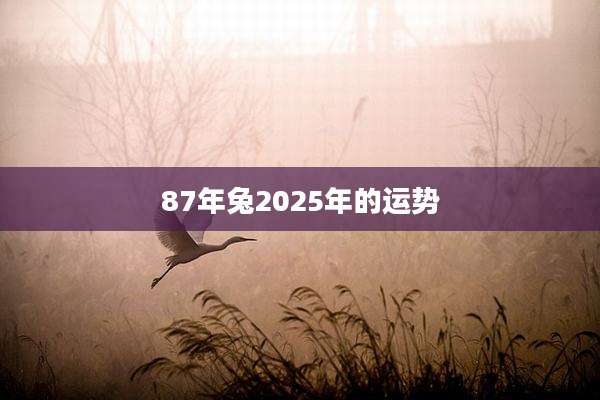 87年兔2025年的运势