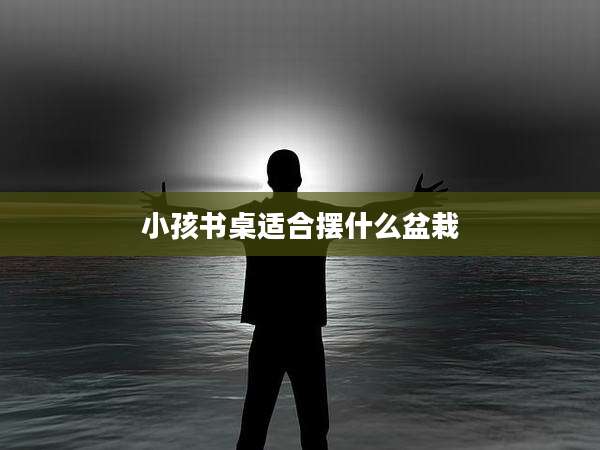 小孩书桌适合摆什么盆栽