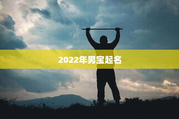 2022年男宝起名
