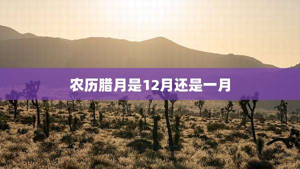 农历腊月是12月还是一月