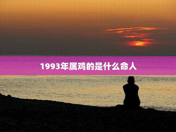 1993年属鸡的是什么命人