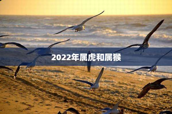 2022年属虎和属猴