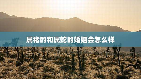 属猪的和属蛇的婚姻会怎么样
