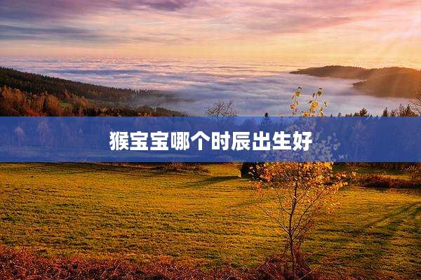 猴宝宝哪个时辰出生好