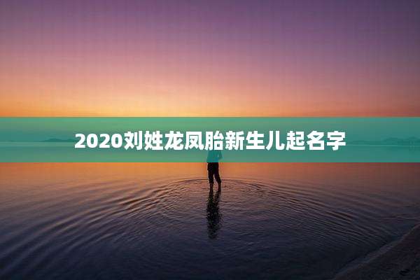 2020刘姓龙凤胎新生儿起名字