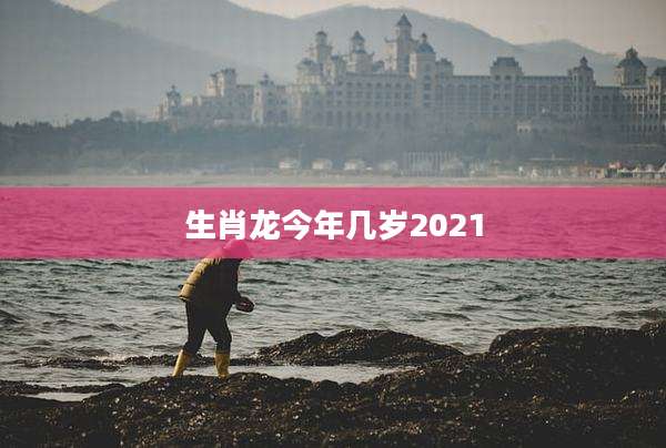 生肖龙今年几岁2021