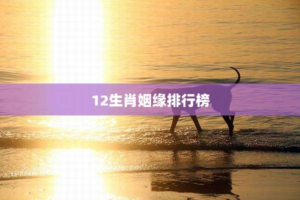 12生肖姻缘排行榜