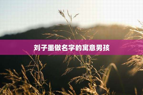刘子墨做名字的寓意男孩