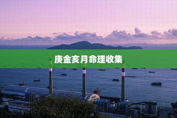 庚金亥月命理收集