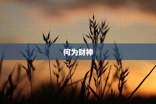 何为财神