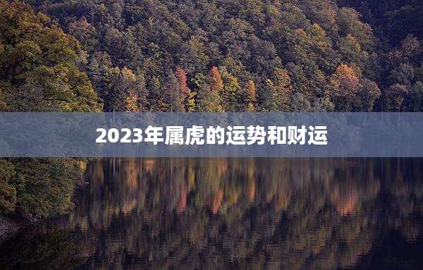 2023年属虎的运势和财运