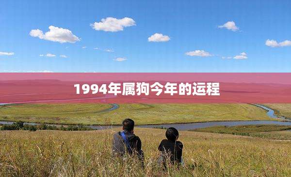 1994年属狗今年的运程