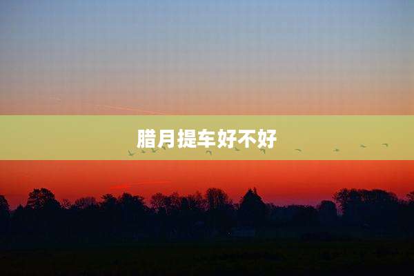 腊月提车好不好