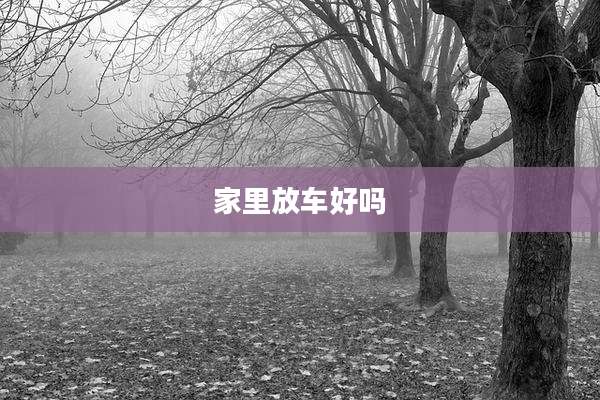 家里放车好吗