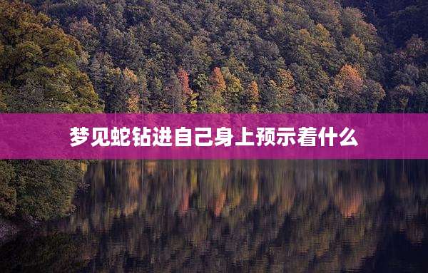 梦见蛇钻进自己身上预示着什么